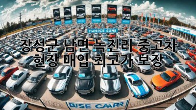 장성군 남면 녹진리 중고차 현장 매입: 최고가 보장!