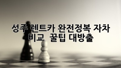 성주 렌트카 완전정복!🚗 자차 비교 & 꿀팁 대방출🍯